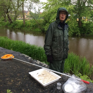 Alf Saldin från Naturskyddsföreningen var dock inte rädd för lite regn och hjälpte glatt till att håva insekter och artbestämma fynden.